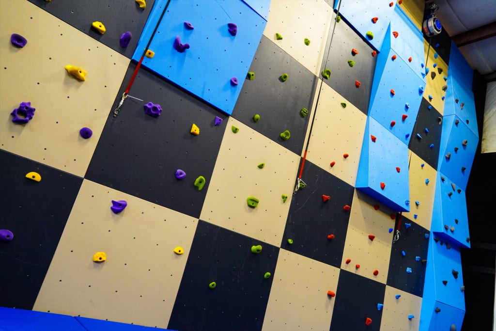 Climbing Wall with Harnesses
