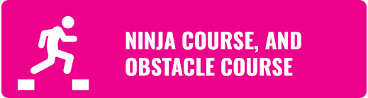 Ninja and Obstacle