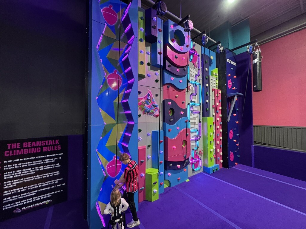 Tall climbing walls