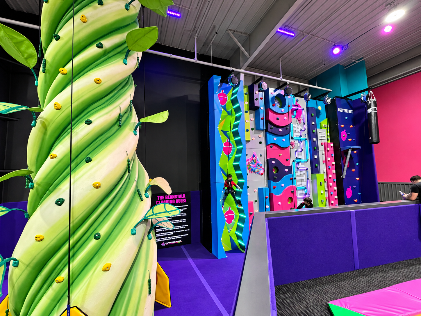 Beanstalk and Tall Wall climbing wall package by Shock Trampoline