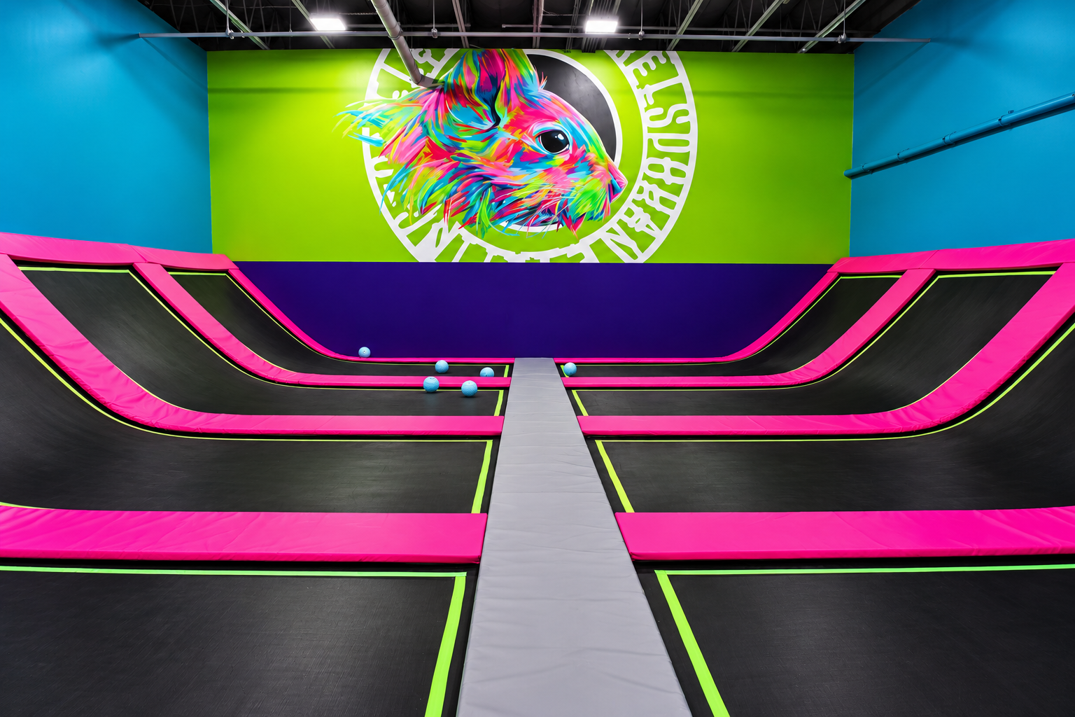 Standard high-wall trampoline dodgeball court