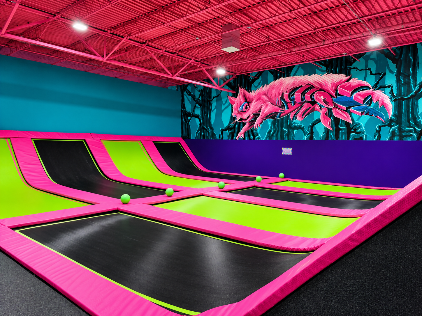 Standard trampoline dodgeball court