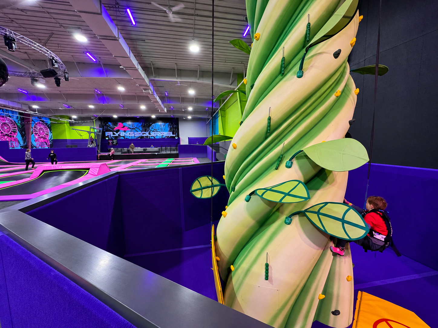 Tall Beanstalk climbing wall by Shock Trampoline